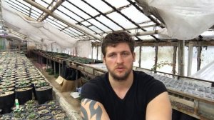 Болезни и вредители суккулентов