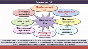 Современные подходы к лечению пациентов с остеоартритом с позиций ортопеда и ревматолога.