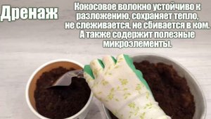 Кокосовое волокно для растений, улиток и змей