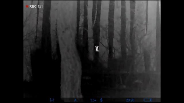 Pulsar AXION XQ38 смотреть онлайн