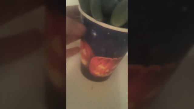 2 видео комната:) смотреть онлайн