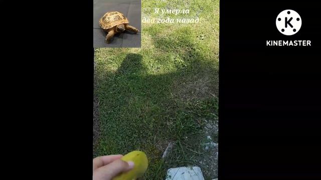 Соня? Сонечка... Проснись...
