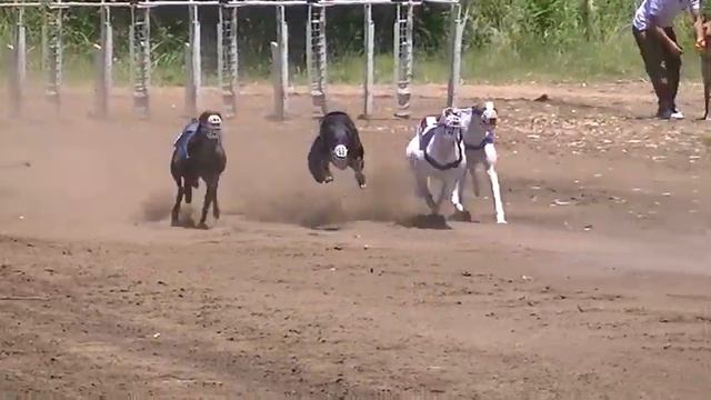 CROTO-GARCIA-ROJAS смотреть онлайн