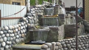 Опять я со своими рыбками