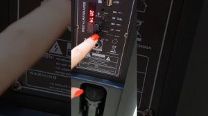 Громкая новая колонка с беспроводным микрофоном PORTABLE BATTERY SPEAKER LT 2805/2803/2804