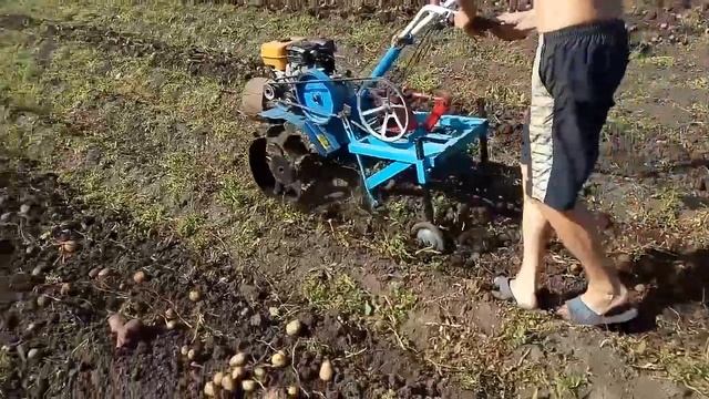 Картофелекопалка к мотоблоку Нева. Первое испытание смотреть онлайн