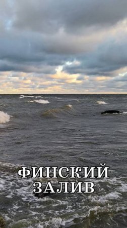 Молодёжное. Санкт-Петербург, Финский залив 2020 год