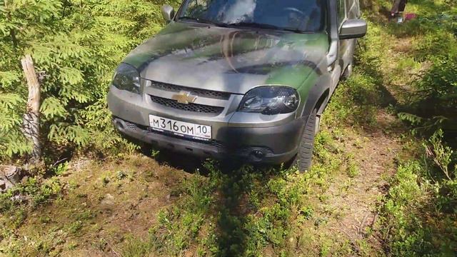 Атака оводов! Жара около 35 на рыбалке!