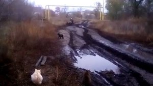Мопед альфа с боковым прицепом второе видео