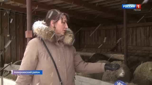 Как городские жители создали семейный сельскохозяйственный бизнес в пензенской глубинке