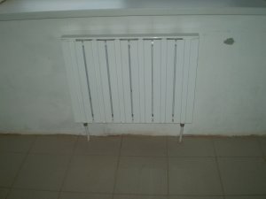 Плесень в доме и как от нее избавиться