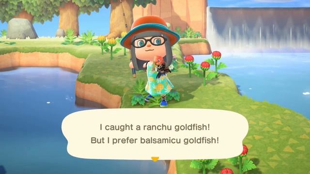 Animal Crossing: New Horizons - How to Catch a Ranchu Goldfish смотреть онлайн