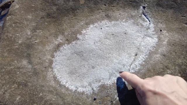 Отлив на  о. Русский Владивосток