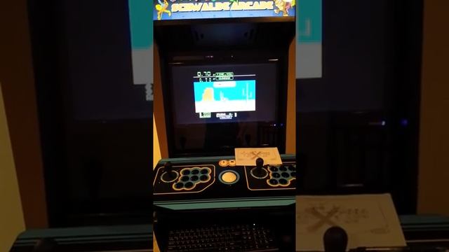 Wild Gunman Arcade Game (MAME) with ArcadeGuns light gun