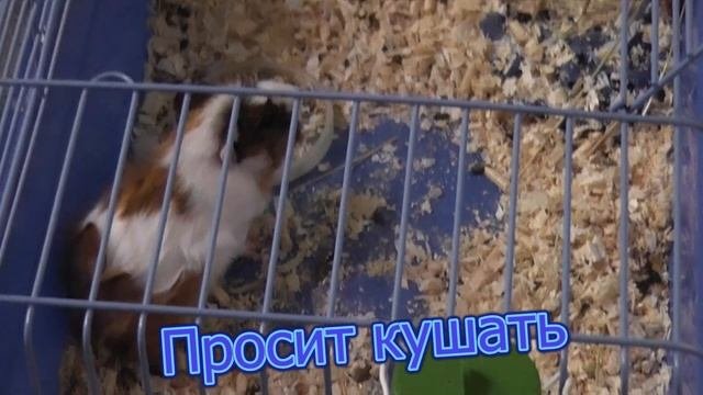 Нюс июнь 2017.