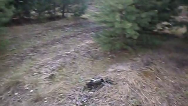 Грибной сезон 2016 смотреть онлайн