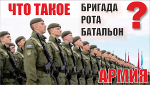 Что Такое Звено, Бригада, Полк, Рота ? Сравнение по количеству человек