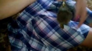 Кормление зайца, кормим маленького зайчика