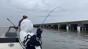 WE HAD A GREAT DAY ON THE WATER #fypyoutube #fishing #slidell #sheephead #afishingfool #boatlife