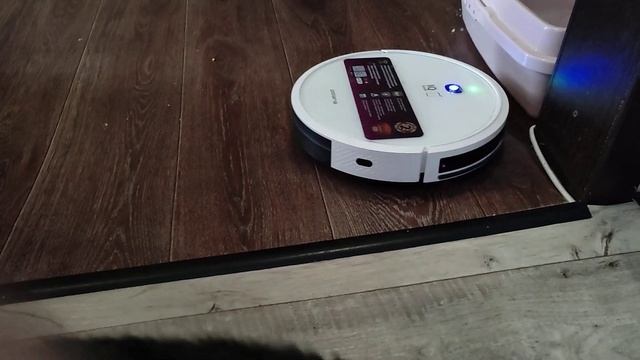 Робот-пылесос Polaris PVCR 1229 IQ Home Aqua Часть 2, робот, 2 кошки и быстрая уборка квартиры. смотреть онлайн