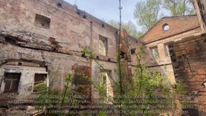 Заброшенная усадьба Бицкого