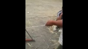 Станок для производства камышовых матов.mp4