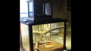 Террариум для пауков своими руками.