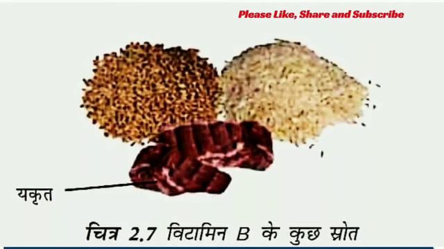 SCIENCE CLASS 6 CHAPTER 2 COMPONENTS OF FOOD | RBSE | CBSE | NCERT | ONLINE STUDY MATERIAL (iiLearn