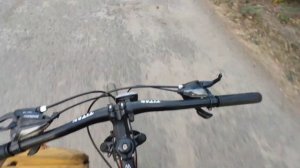 Сколько можно заработать на бузине? Сколько можно заработать на сдаче бузины? Сбор бузины.