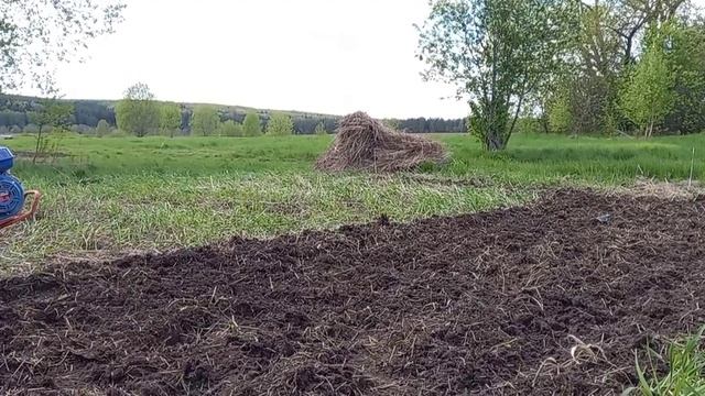 Целина мотоблоком "Салют" двигатель "Лифан 6.5". Тяжёлый участок.