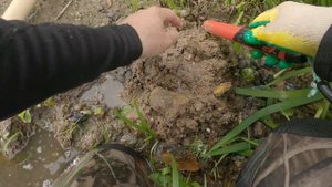 Водный коп. Выезд 1. Советский пляж, часть 2.