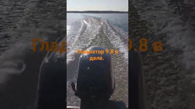 Скорость Gladiator 9.8. #gladiator #лодка #мотор #скорость #рыбалка #михалыч74 смотреть онлайн