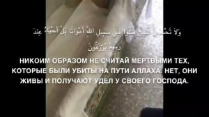 Къоман сий ☝️Юсуп Темирханов.