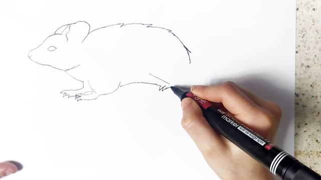КАК НАРИСОВАТЬ МЫШЬ // НАРИСОВАТЬ МЫШЬ ЛЕГКО И ПРОСТО // НАРИСОВАТЬ МЫШОНКА  // РИСОВАТЬ МЫШОНКА