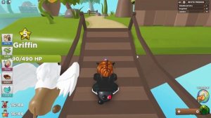 Free CODES + Tips and tricks! [ROBLOX PET HEROES]