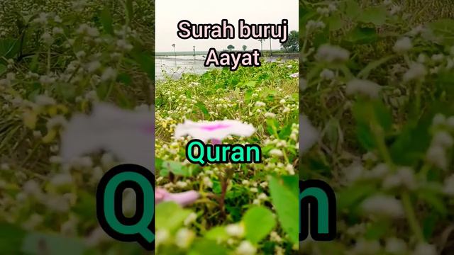 Surah buruj aayat Urdu translation #quran #shortvideo