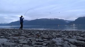 Alaska. Valdez. Fishing. Рыбалка на Аляске. Добыча лосося на тройник.