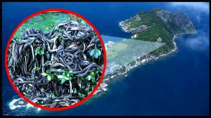 Место вашего кошмара! Кеймада-Гранди_ «Змеиный Остров».