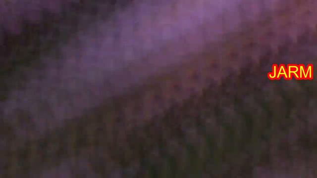 Orquídea Cattleya percivaliana. каттлея персйбаляна смотреть онлайн