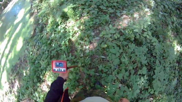Поиск старины и кладов с магнитометром в лесу