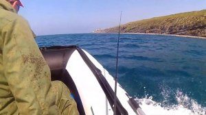 Polar Bird 360M + Yamaha 15 FMHS (2)