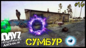 DayZ НЕУДЕРЖИМЫЕ - СУМБУР (АНОМАЛЬСК , 16 серия, патч 1.12)