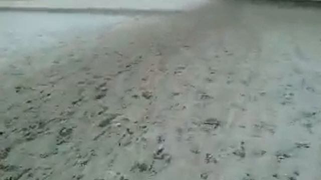 Прогулка по проспекту Мира смотреть онлайн