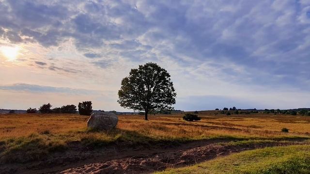 Евангелие дня. Чтимые святые дня. Седмица 23-я по Пятидесятнице. (09.11.2020) смотреть онлайн