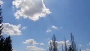 Сергей Безруков "От чего так в России березы шумят.."