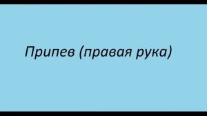 ВЫ ЛЮБИТЕ ГАРМОНЬ / Разбор на гармони