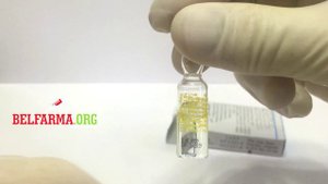 Sustanon Organon