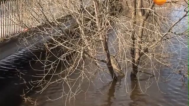 2013-04-22 Поплыли! смотреть онлайн