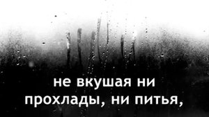 Сура Ан-наба чтец (Мишари Рашид)