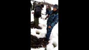 Ловля Сома зимой это что то!
